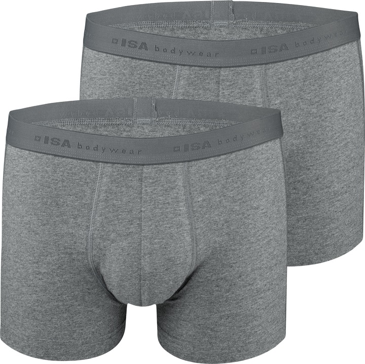 Actual product image ISA Bodywear Panty (XXL, pack of 2)