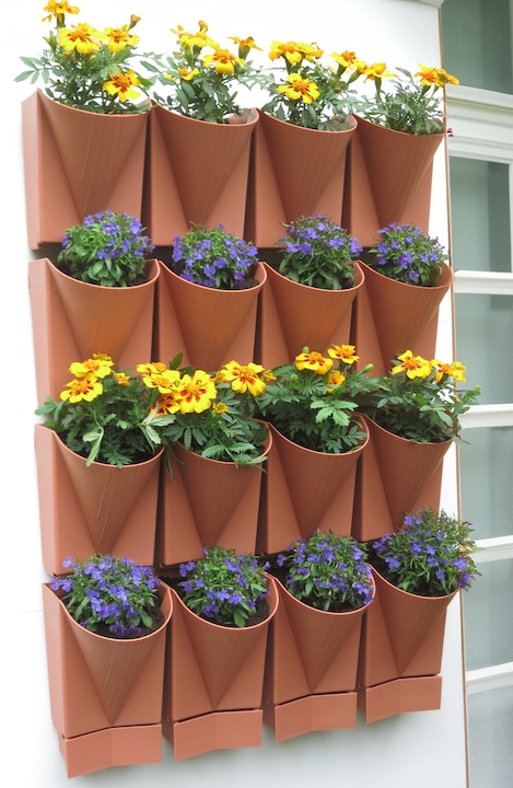 Actual product image VCM Wall garden