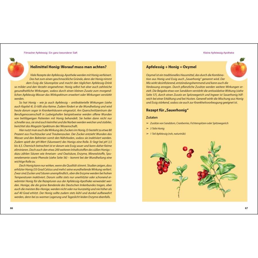 Thumbnail - Apfelessig neu entdeckt - Der Alleskönner und seine unbegrenzten Verwendungsmöglichkeiten., Ratgeber von Annette Sabersk...