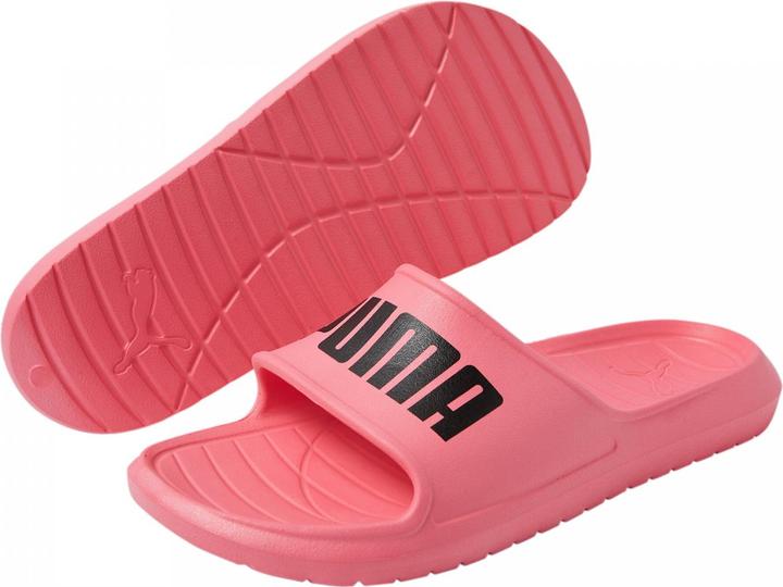 Image du produit Puma Divecat v2 Lite (48.5)