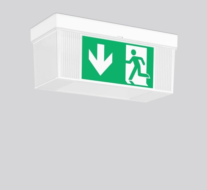 Actual product image RZB LED emergency light