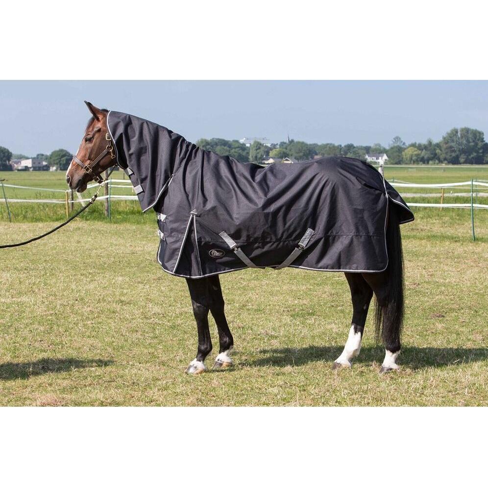 Harry's Horse, Pferdedecke, (145 cm)