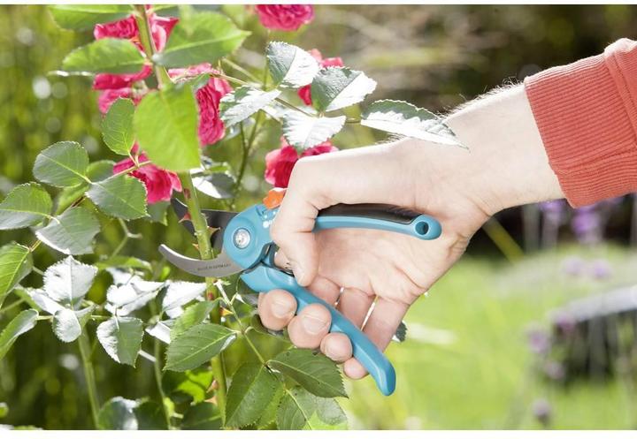 Actual product image Gardena Classic Grape Shears