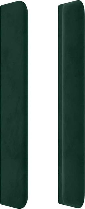 Vert foncé