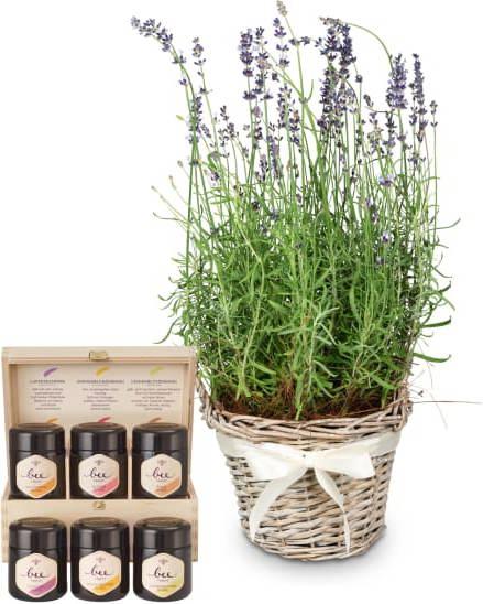 Fleurop Scent of Provence (lavender) with honey gift set