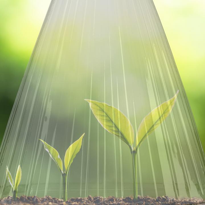 Produktbild Relaxdays 10x Pflanzenhut