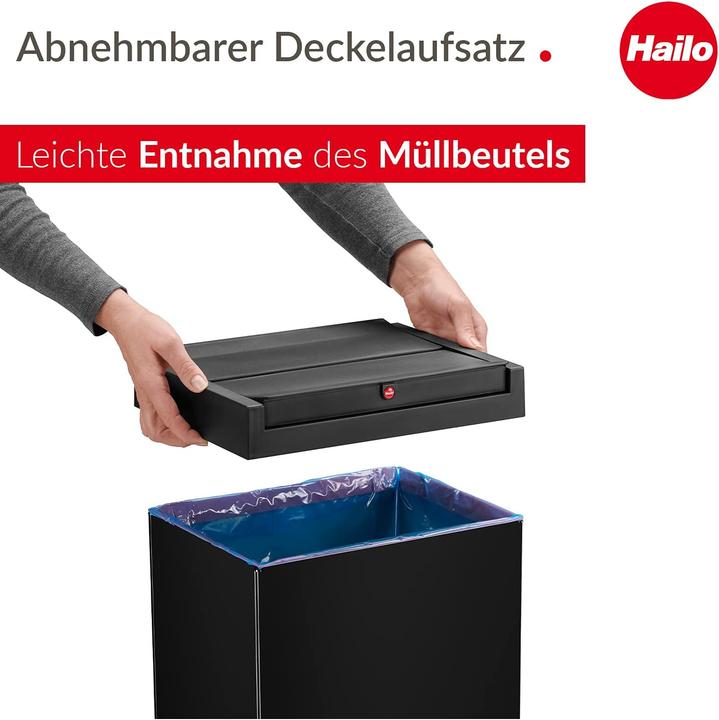 Actual product image Hailo Big-Box Swing (40 l)