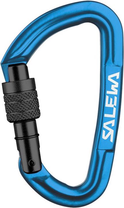 Actual product image Salewa Hot G3 Screw