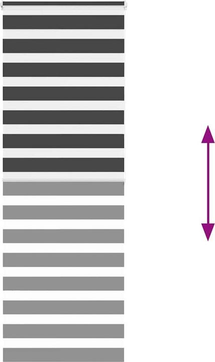 Produktbild vidaXL Zebra-Jalousie (75 x 200 cm)