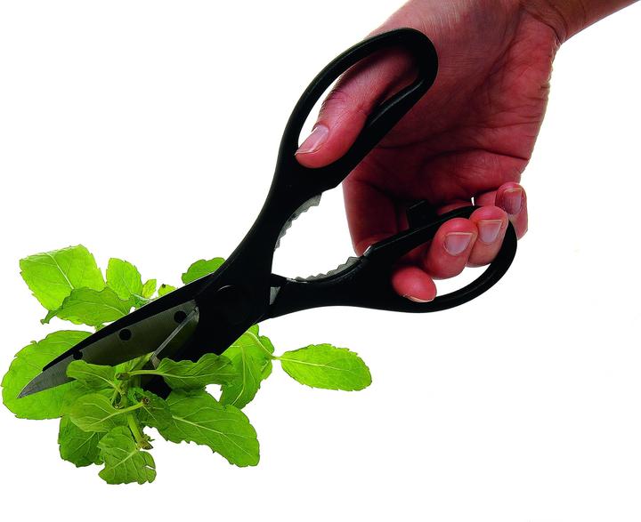 Actual product image Kitchen Craft Multipurpose scissors (21 cm)