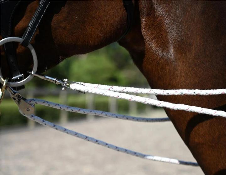 Actual product image Kincade Horse surfaix