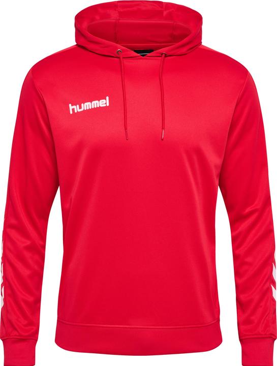 Actual product image hummel Promo Poly Hoodie (S)
