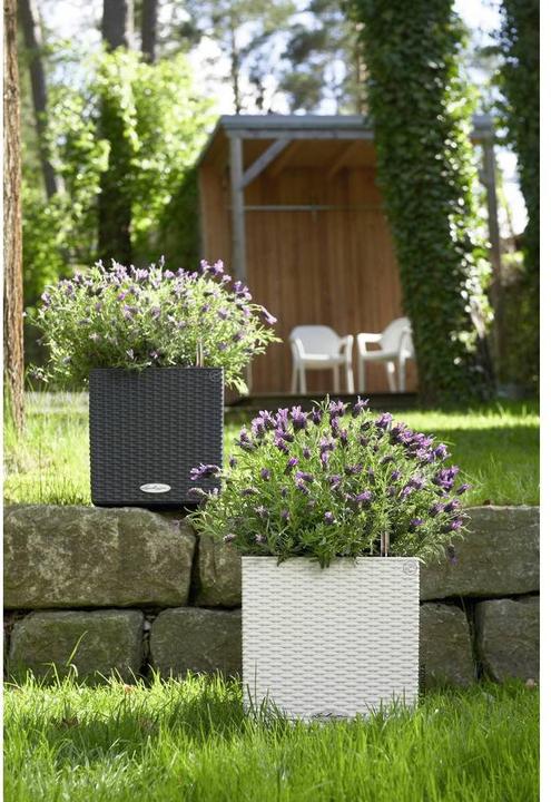 Produktbild Lechuza Cube Cottage 30 (29 x 29 x 30 cm)