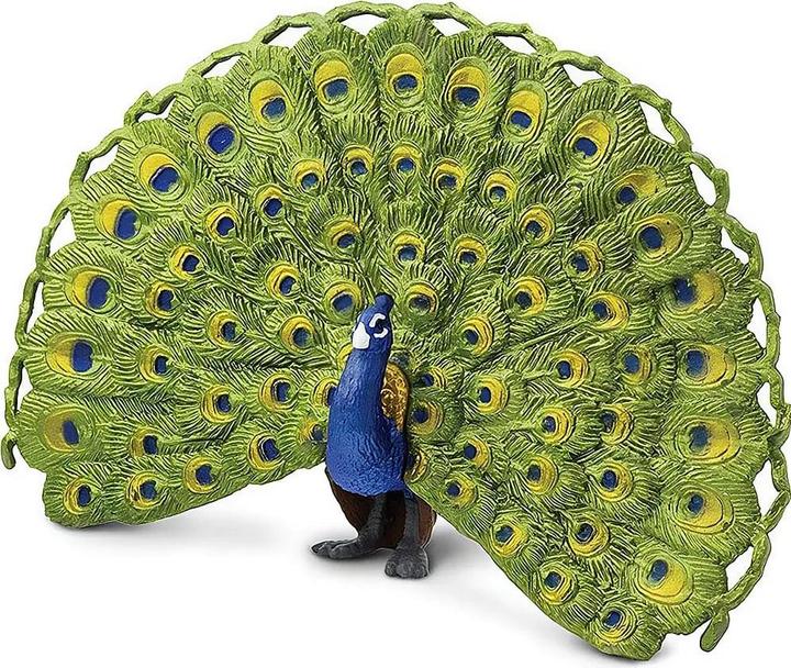 Actual product image Safari Peacock