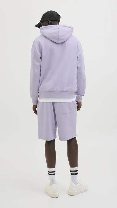 Immagine prodotto Jack & Jones Jpstkane Vesterbro Sweat Shorts Lng Sn (M)