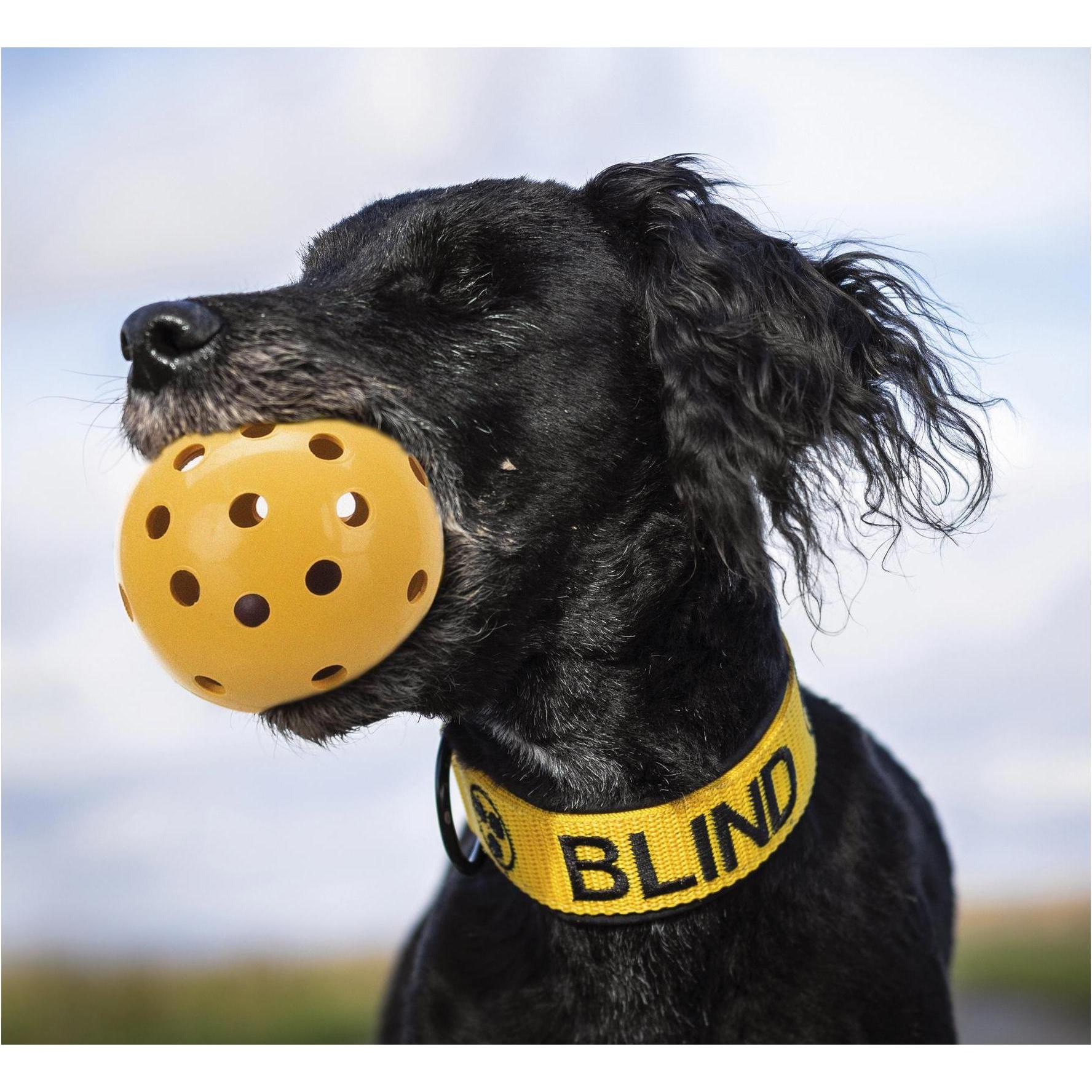 Thumbnail - Trixie Lochball mit Schelle Ø 7 cm (Bälle), Hundespielzeug