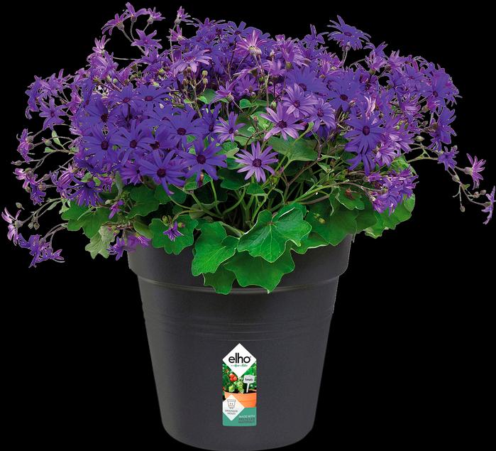 Actual product image Elho Green Basics (27 cm)