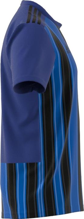 Actual product image adidas Striped 21 Jersey (S)