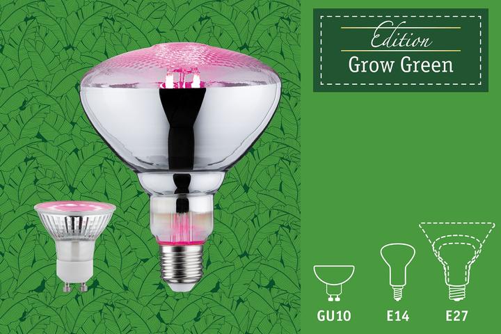 Immagine prodotto Paulmann Lampada per piante Grow Green R63 (LED, 6.50 V)