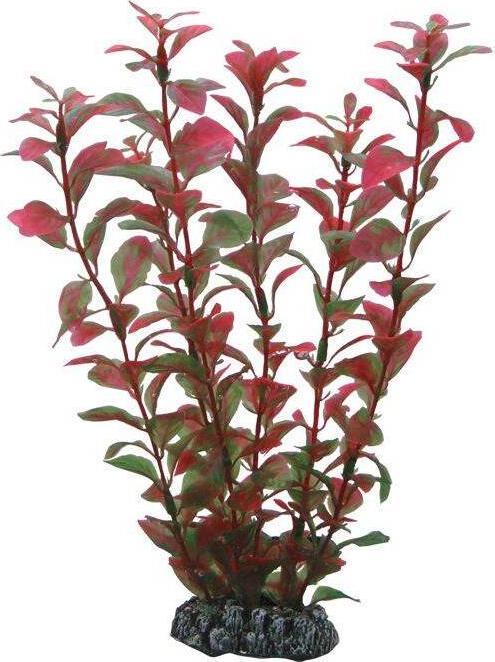 Dohse Ludwigia, 34 cm (Dekoration, sonstige Bauten)