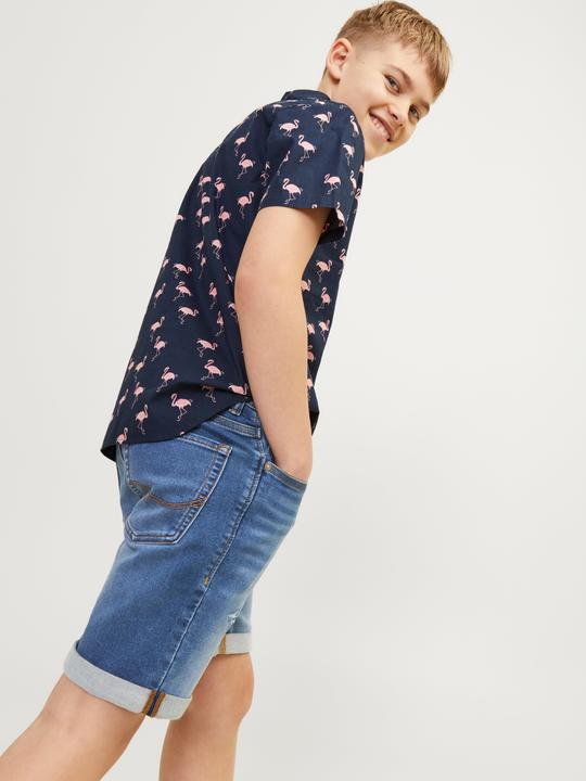 Actual product image Jack & Jones Regular Fit Regular Fit Shorts For boys Regular Fit Shorts (164)