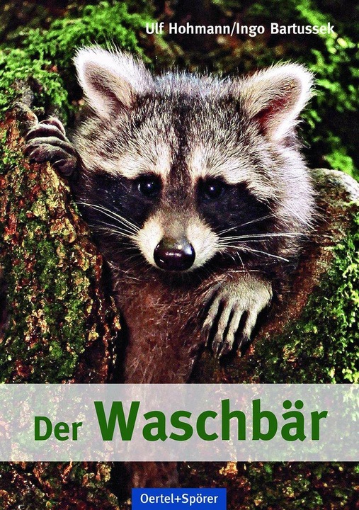 Productafbeelding Der Waschbär (Duits, Ulf Hohmann, Ingo Bartussek, 2018)