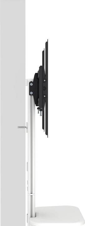 Actual product image SpeaKa Professional SP-TVS-600 TV-Standfuss Höhenverstellbar 94,0 cm (37") - 218 (86", 45 kg)