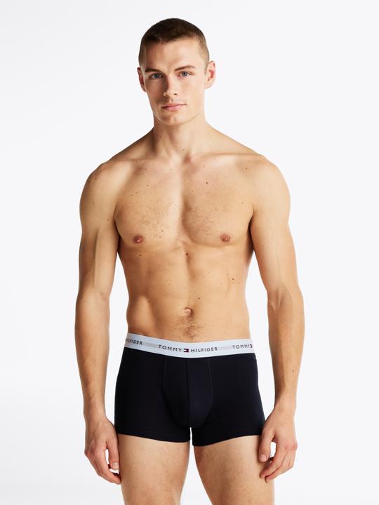 Tommy Hilfiger Trunk