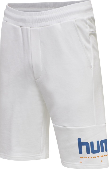 Actual product image hummel Lgc Manfred Shorts (XS)