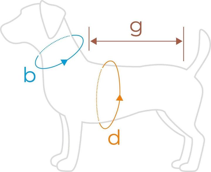 Immagine prodotto amiplay Felpa Con Cappuccio Cane Maltese Texas 35cm Blu (0.41 l)