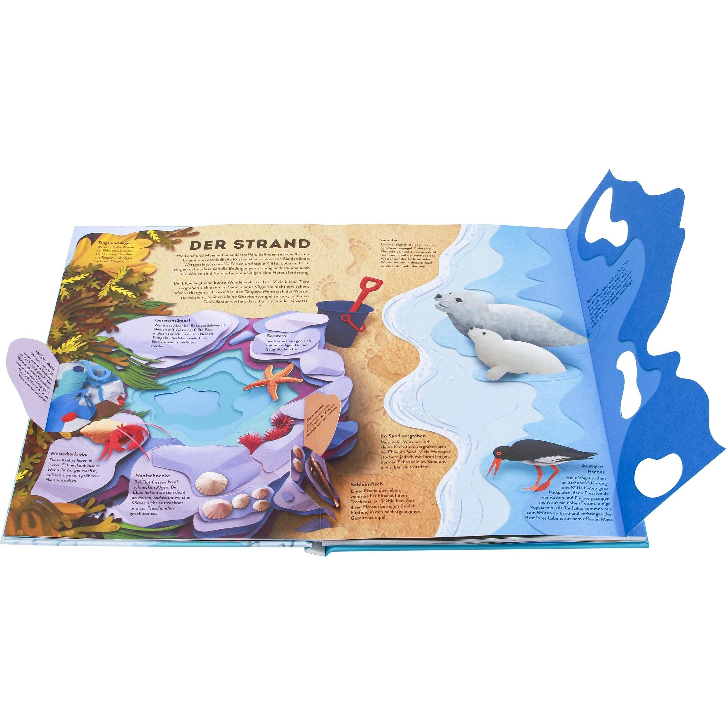 Thumbnail - Wissenswelten. Ozeane, Kinderbücher von Ruth Symons