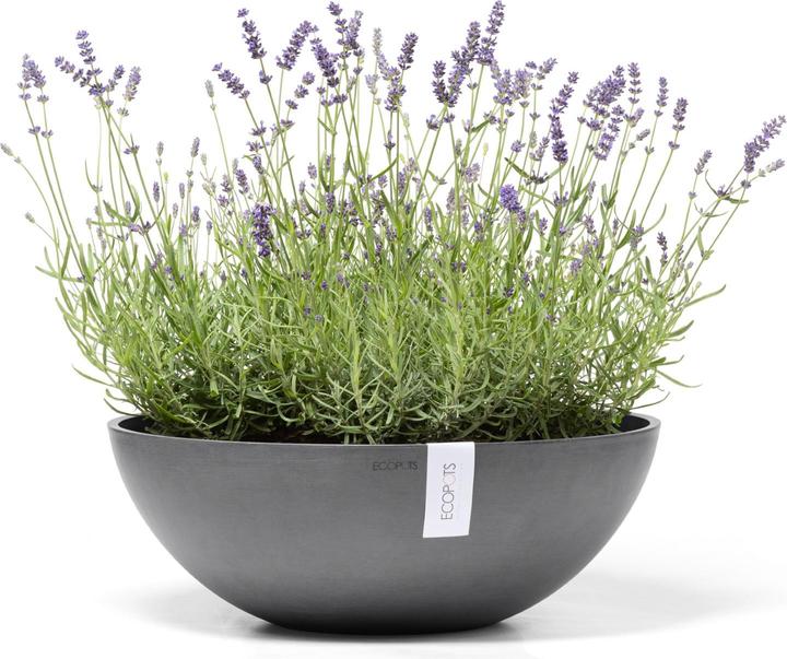 Produktbild Ecopots Vienna (50 cm)