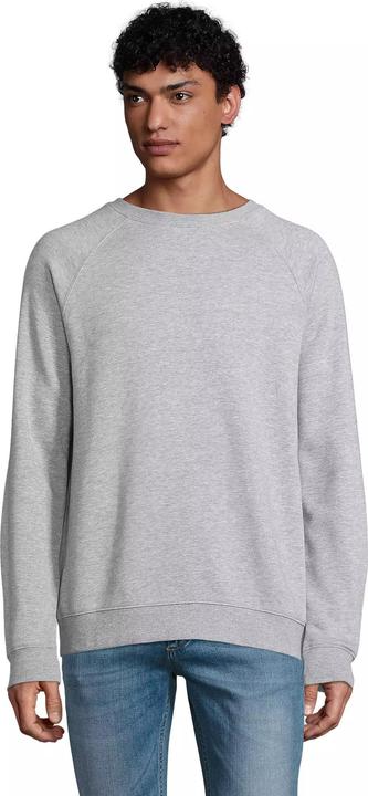 grigio screziato