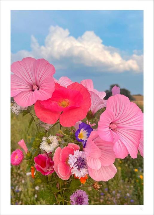 Image du produit Poster & Frame Printart (29.70 x 42 cm)