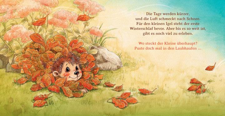 Produktbild Schlaf schön, kleiner Igel (Deutsch, Sophie Schoenwald, 2018)