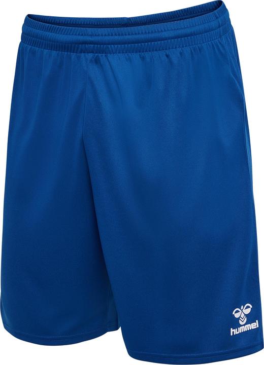 Trueblue
