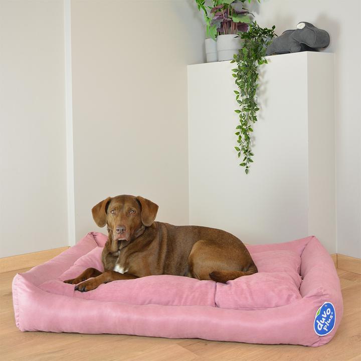 Produktbild Duvoplus Hexa (Hund)