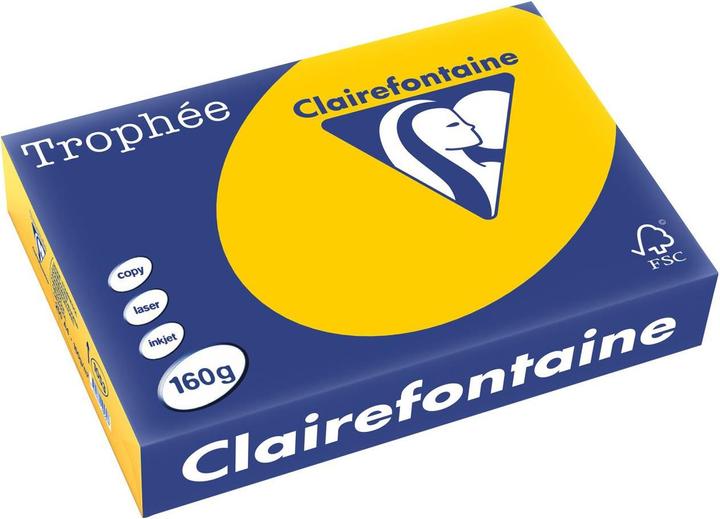 Actual product image Clairefontaine Trophée (160 g/m², 250 x, A4)