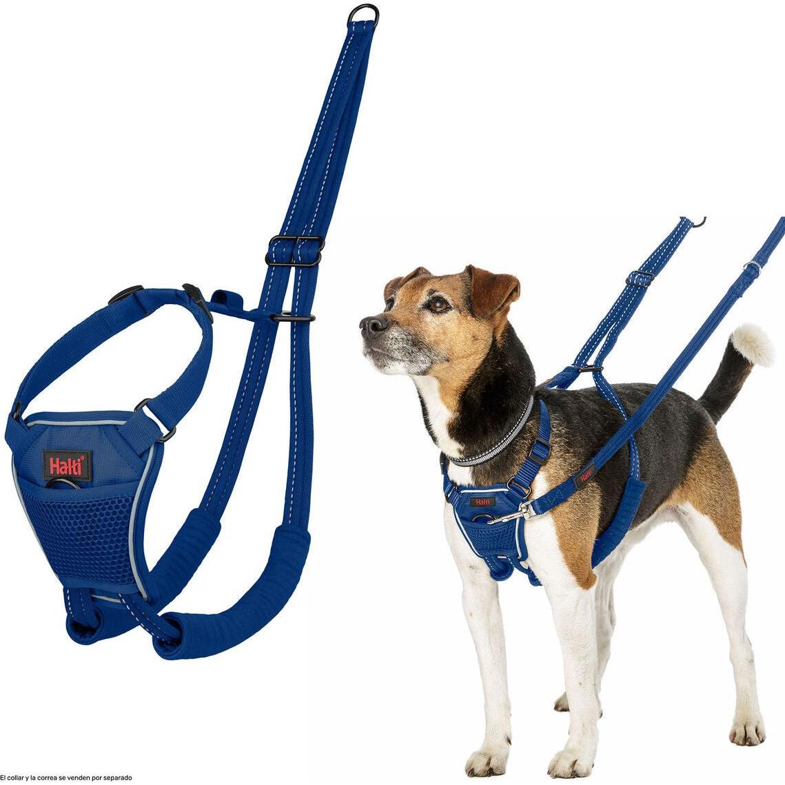Comparer les prix de Harnais pour Chien Company of Animals Blue 20