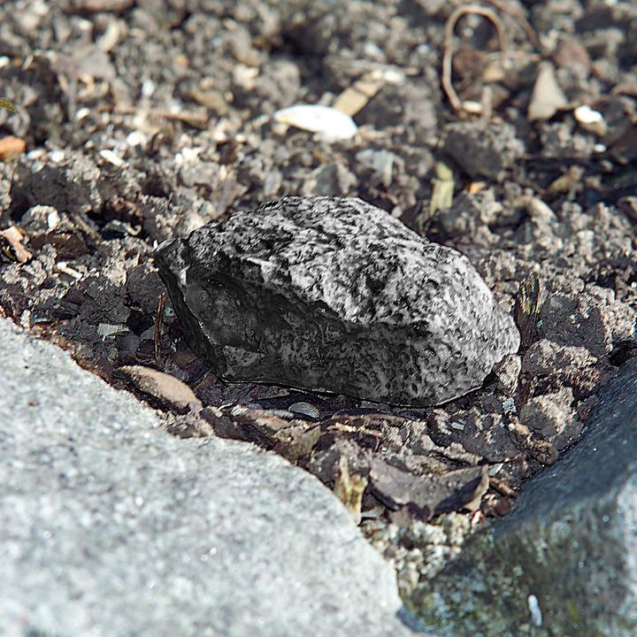 Immagine prodotto Lunartec Nascondiglio segreto
