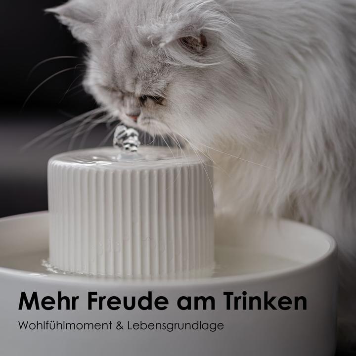 Produktbild LucyBalu TREVI Trinkbrunnen (2.80 l)