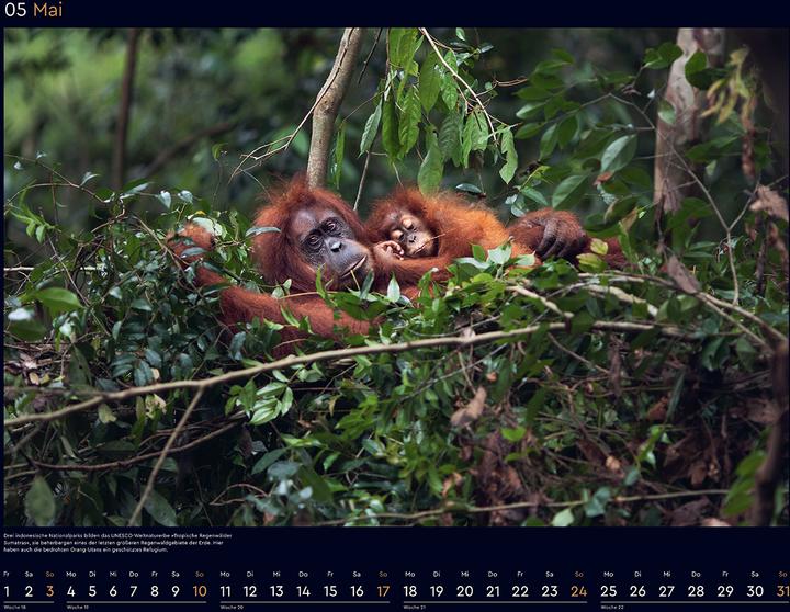 Produktbild Das Naturerbe der Welt - Wandkalender 2026 (60 x 45 cm, Harter Einband, Deutsch)