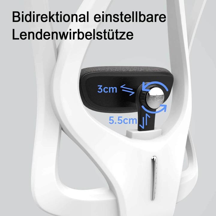 Image du produit Sihoo Chaise de bureau avec soutien lombaire
