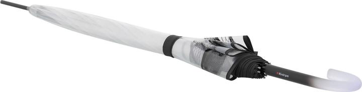 Produktbild Knirps C.760