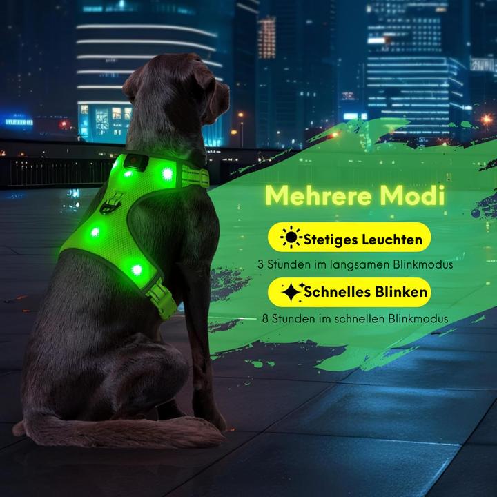 Actual product image Suba LED dog harness (L, Dog, Dog sport, Walks)