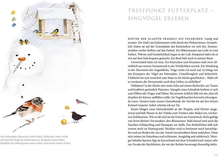 Image du produit Kosmos Gartenvögel (Allemand, Daniela Strauss, 2022)