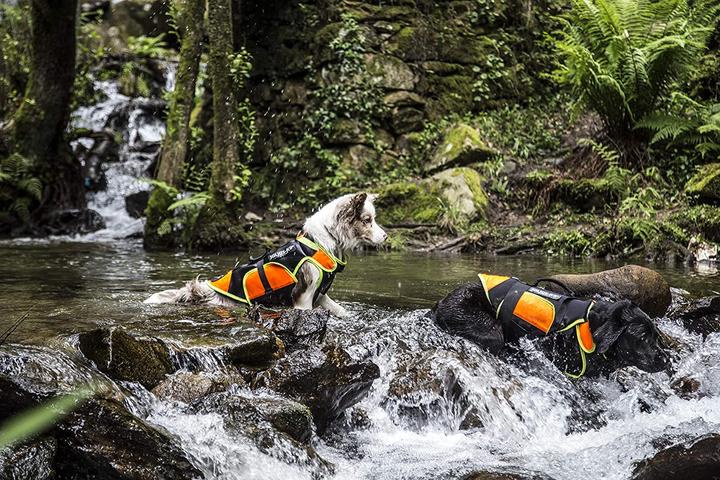 Produktbild Julius-K9 Multifunktionswestein (M, Hundeschwimmweste)