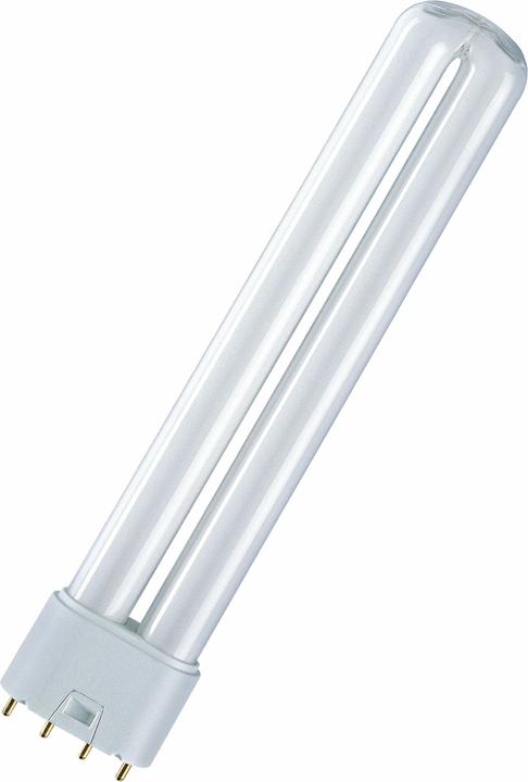 Actual product image Osram Dulux L (2G11, 40 W, 3500 lm, 1 x, G)