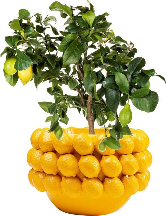 Immagine prodotto Kare Design Fioriera decorativa Succo di limone 22 cm