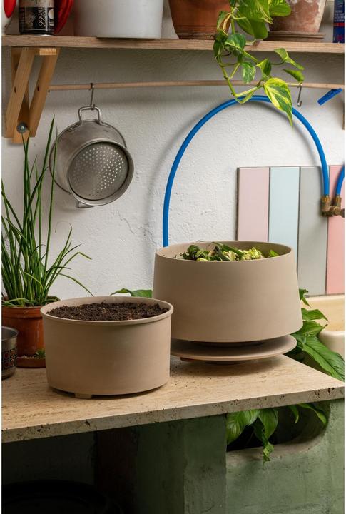 Produktbild WormUp Home 2 (1.30 l)